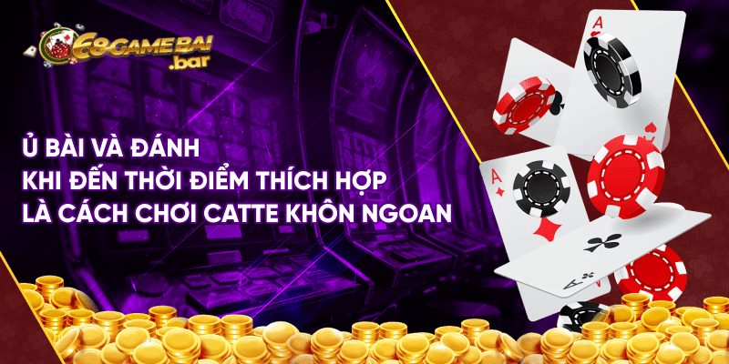 Cách chơi catte đánh bại mọi đối thủ của dân chơi lâu năm Ủ bài và đánh khi đến thời điểm thích hợp là cách chơi catte khôn ngoan